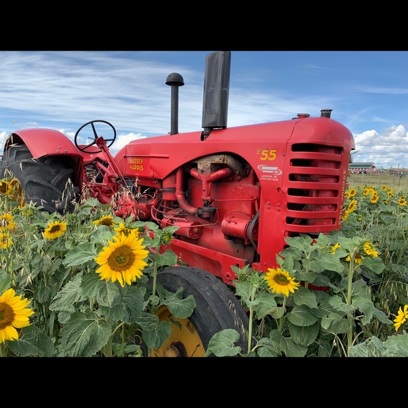 Meet your Posher, Mikayla - Picture 1 of 1